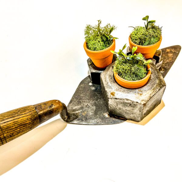 A Trowel succulent planter with potted plants on it.